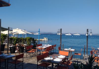 Torba