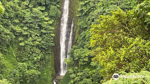 Papapapaitai Falls