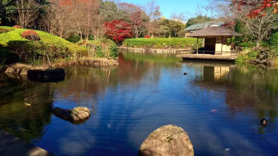 千葉縣立柏之葉公園