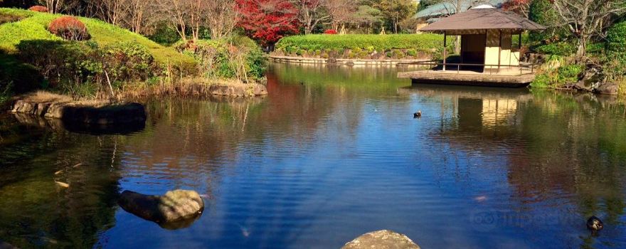 Kashiwanoha Park