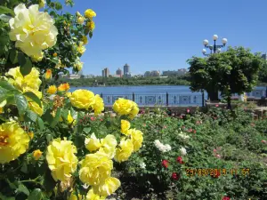 Park Shcherbakova