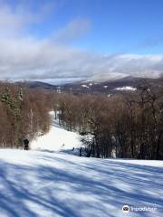 Mount Snow Resort