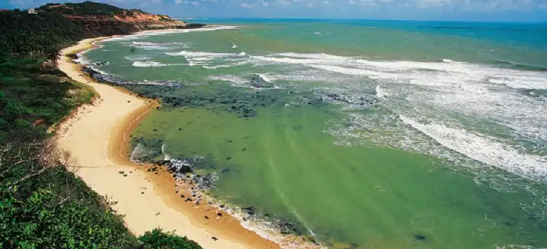 โรงแรมในปิปา