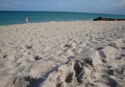 Beach near Ocean Blvd