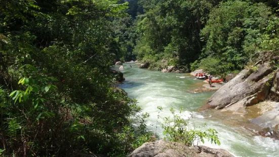 Jungle Lodge Malaysia