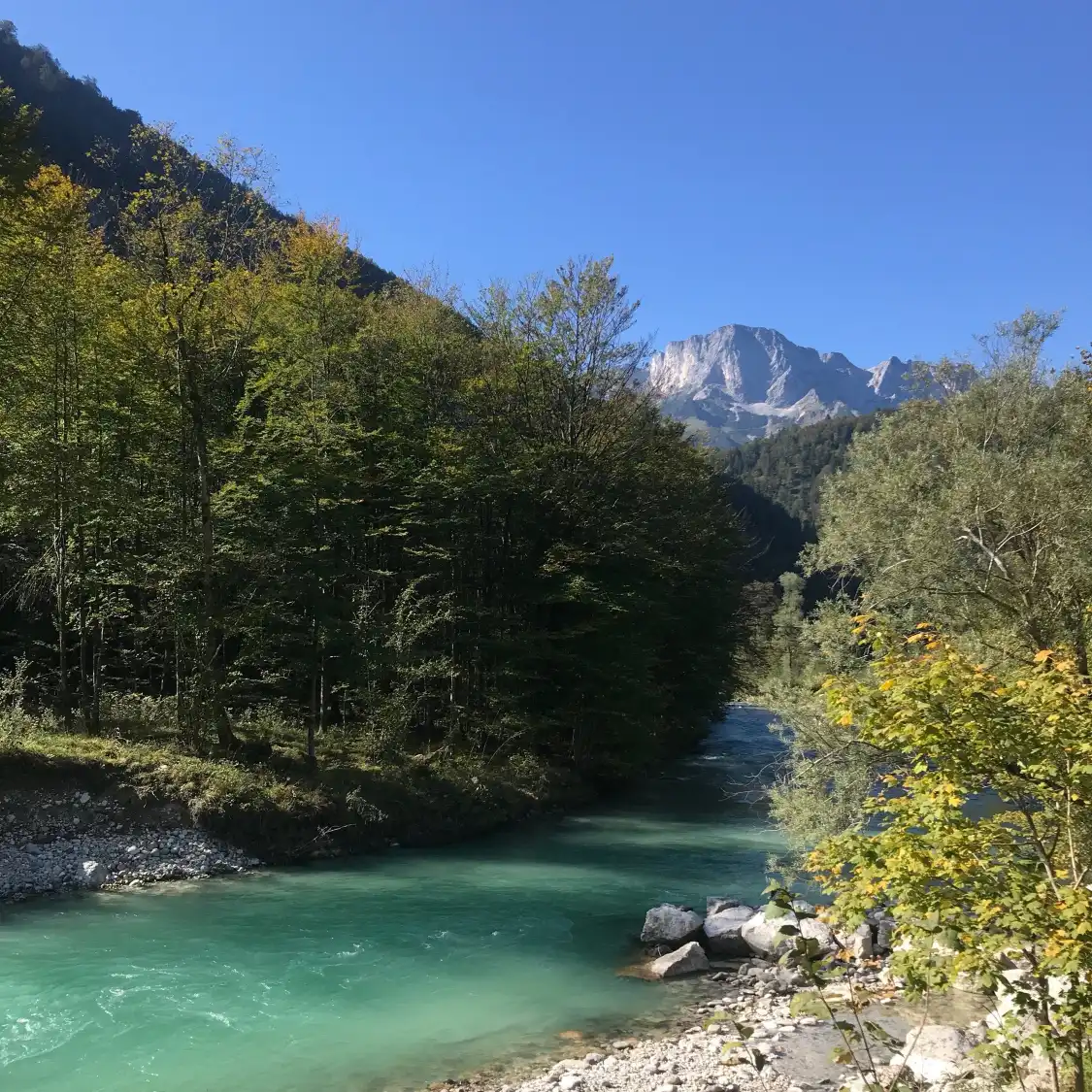 Hotels near Deutsche Alpenstrasse