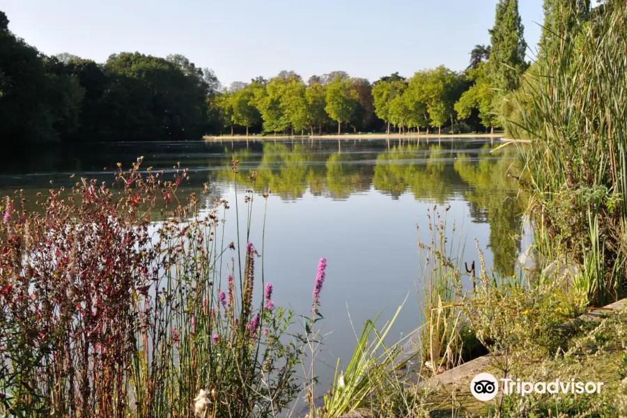 Lac des Minimes