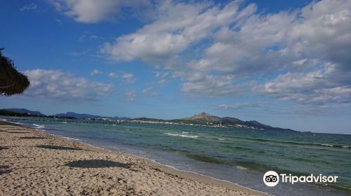 Playa de Muro Beach