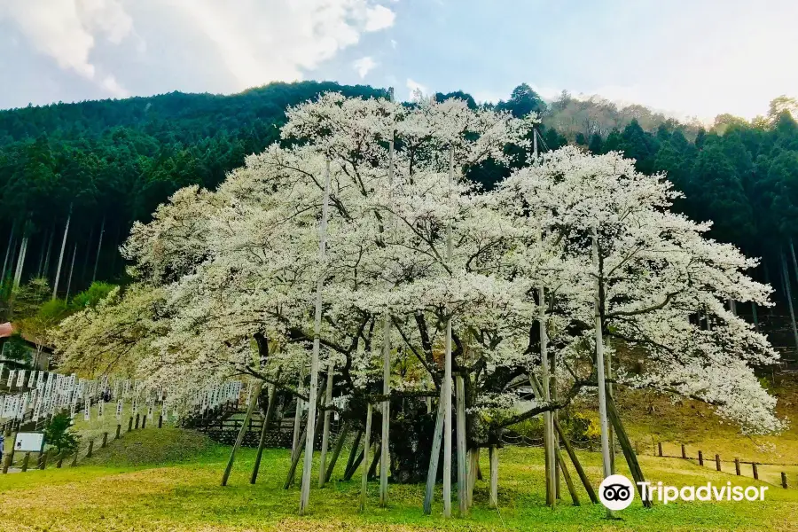 Usuzumi Park