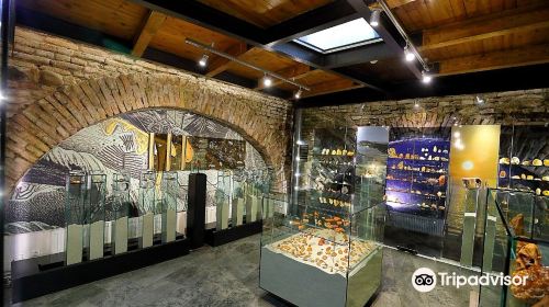 Amber Museum - Gallery