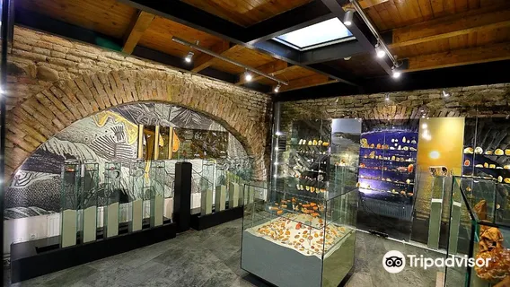 Amber Gallery - Museum
