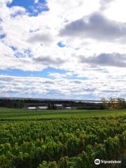 Ravines Wine Cellars - Seneca Lake