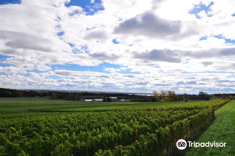 Ravines Wine Cellars - Seneca Lake