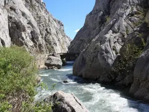 Hoces de Vegacervera