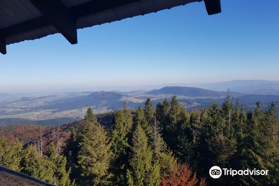 Mogielica Observation Tower