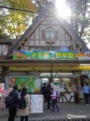 Mt. Takao, Monkey zoo, Wild Grass Garden
