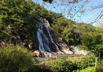 Gimje-si
