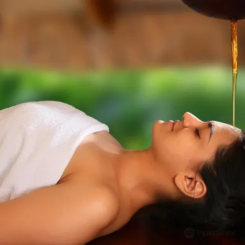 Vibrant Ayurveda Wellness Centre