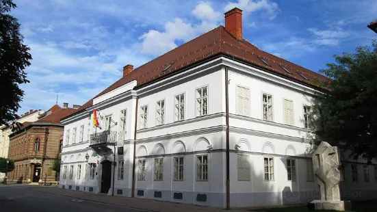 Town Museum