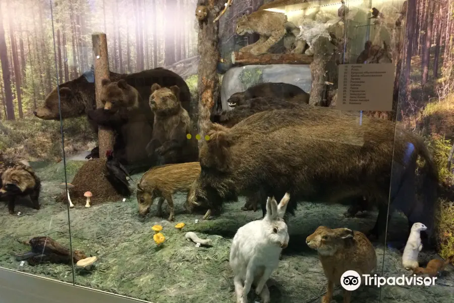 Museum of Nature of Karelia