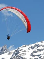 SkyGlide Paragliding Lake Lucerne