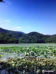 Oyama Kamiike Pond
