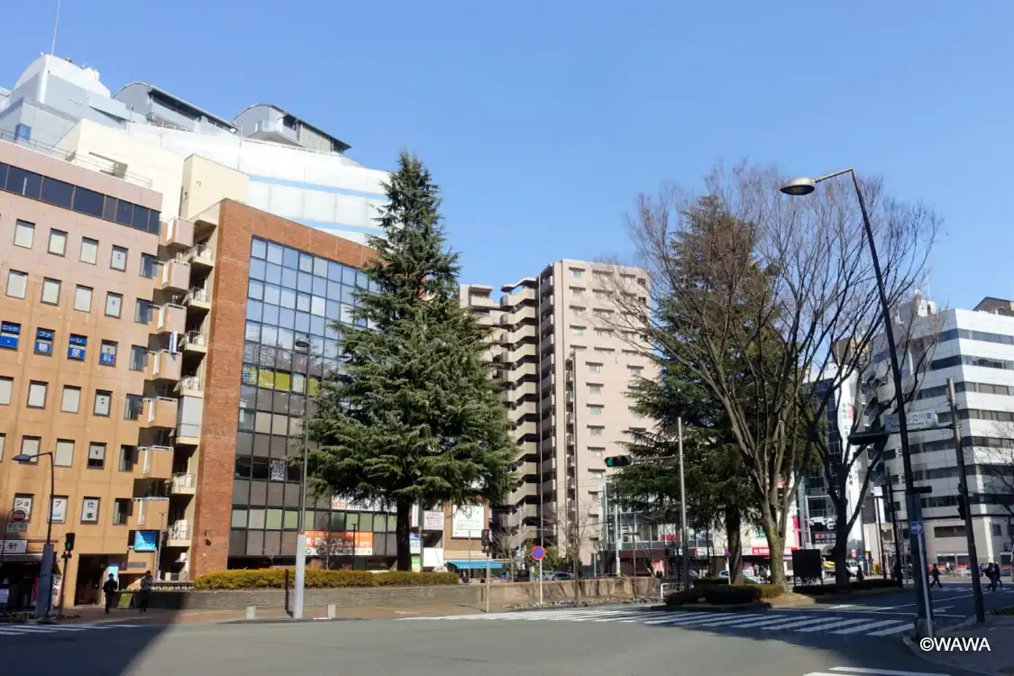 Hotels near Municipal Organization 50th Anniversary Rest Area