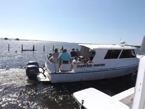 Island Girl Charters