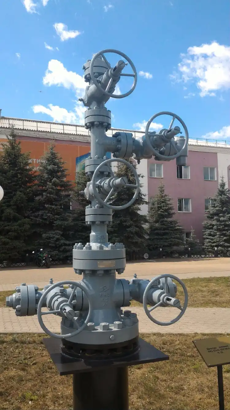 Các khách sạn ở Blagoveshchensk