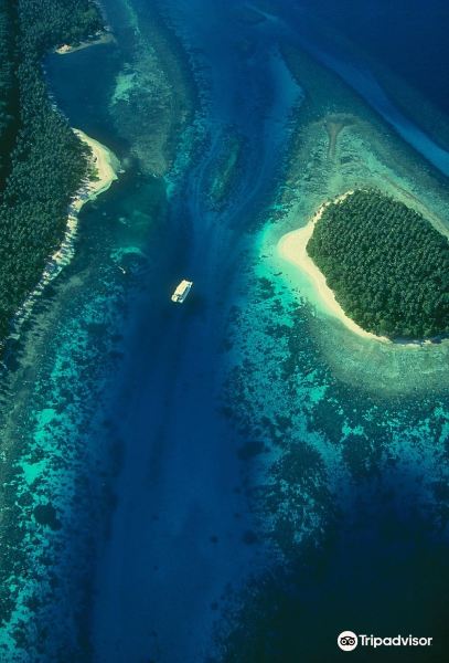 Shanghai to Madang Flights