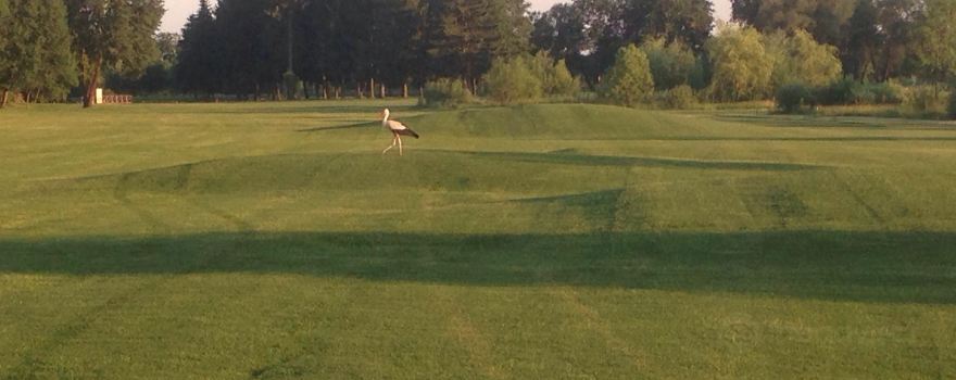 Golf Course Livada