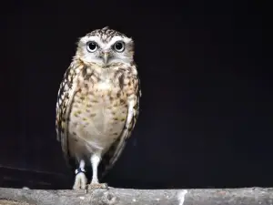 リール動物園