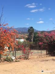 Calitzdorp Museum