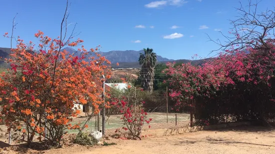 Calitzdorp Museum