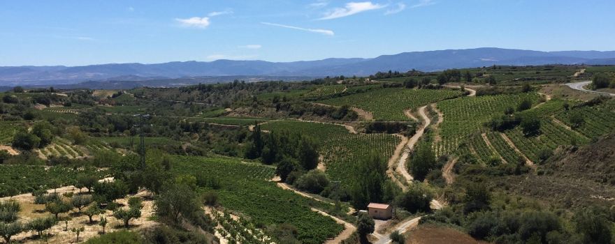 Bodegas Vina Laguardia S L