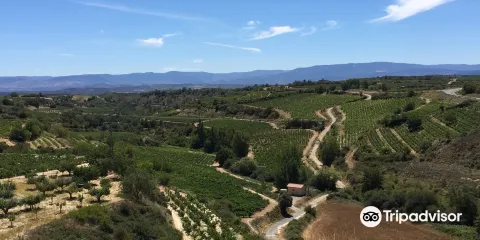 Bodegas Vina Laguardia S L