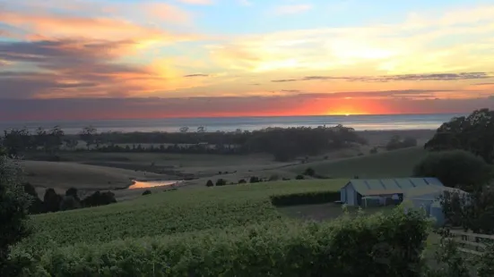 Cape Bernier Vineyard