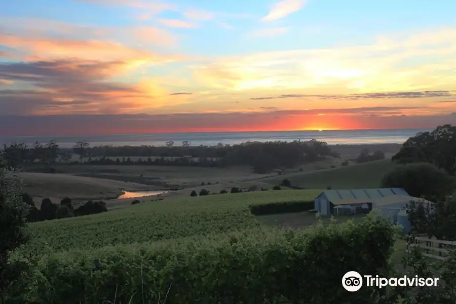 Cape Bernier Vineyard