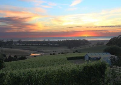 Cape Bernier Vineyard