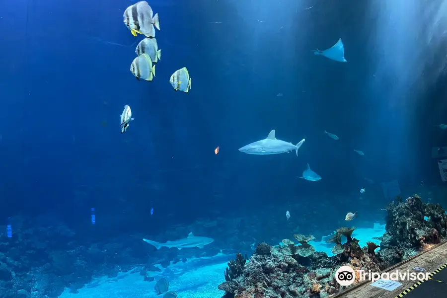 Tropen-Aquarium Hagenbeck