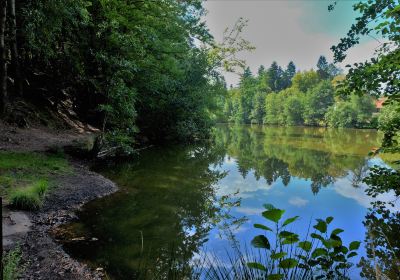 Lanzenbrunnerweiher