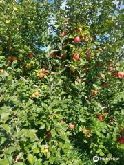 Happy Valley Orchard