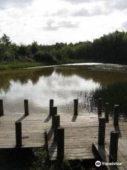 New Lount Nature Reserve