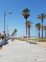 Spiaggia La Patacona, Alboraia