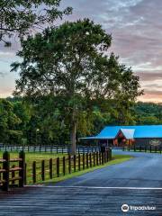 Orvis Shooting Grounds at Pursell Farms