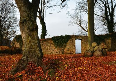 Burg Alt Wolfstein