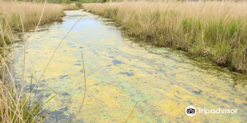 Marais du Quellen