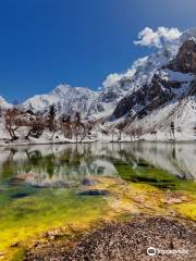 Naltar Lake