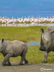 TRANSLEN INVESTMENT TOURS AND SAFARIS