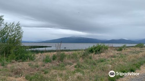 Wood River Wetland